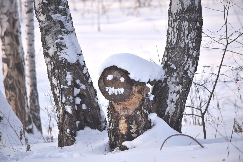 Photograph by Наталья Сорокина