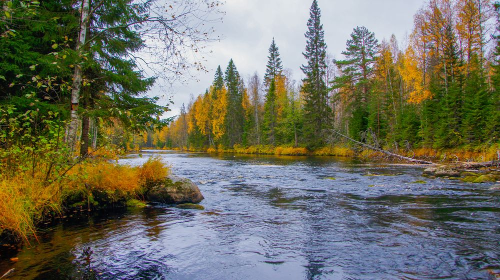 Uksunyoki river, Karelia, Russia