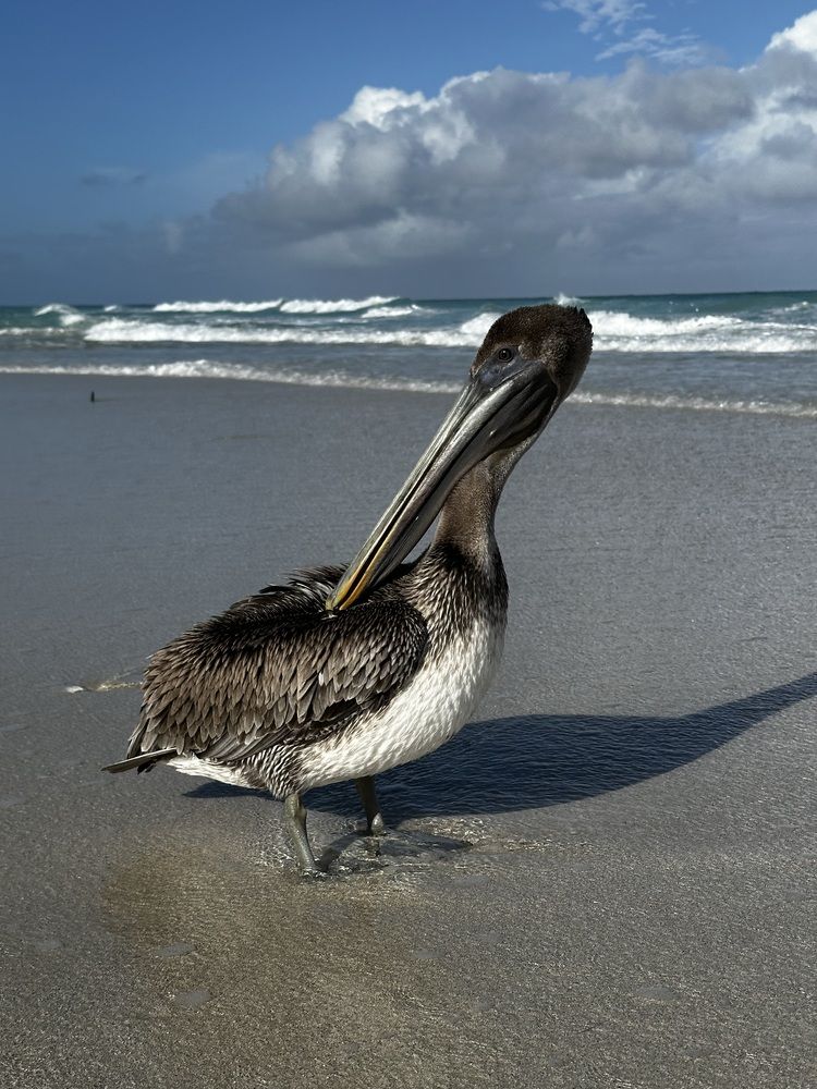 Photograph by Svetlana Rashidova