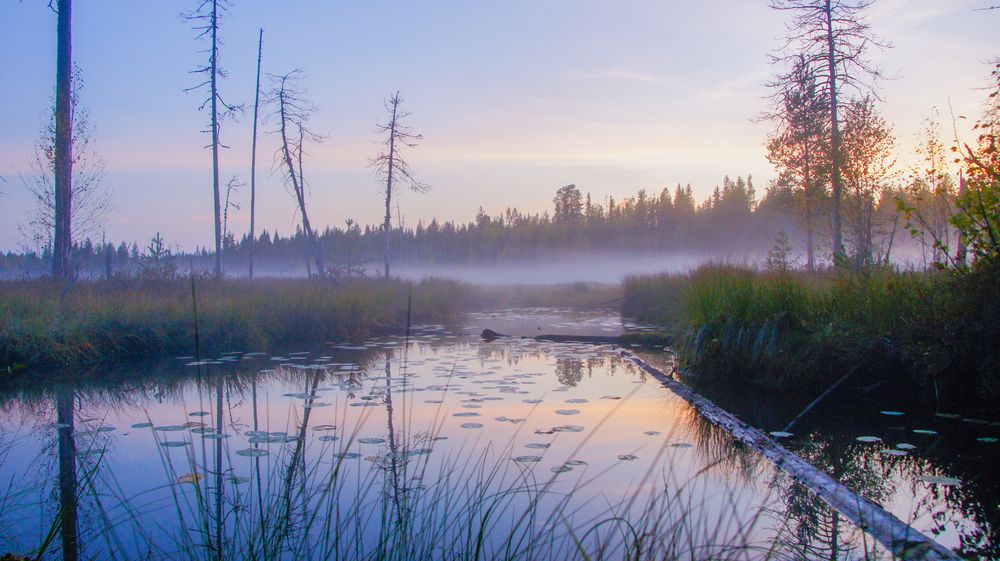 Karelian river, Russia