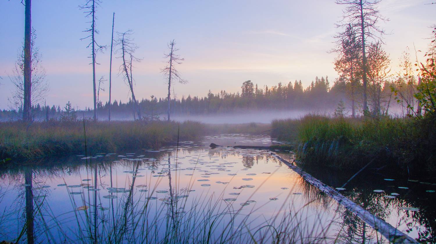 Karelian river, Russia