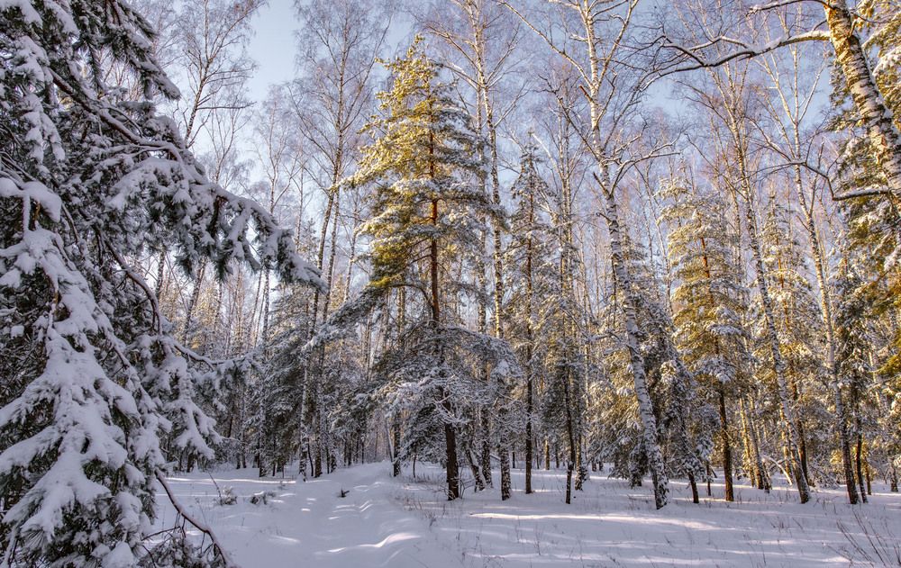 Photograph by Алексей Сиваков