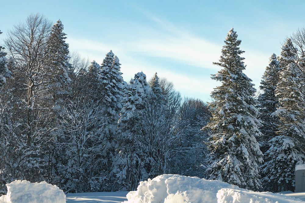 Фотография автора Антонина Кузнецова