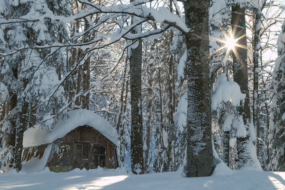 Фотография автора Антонина Кузнецова