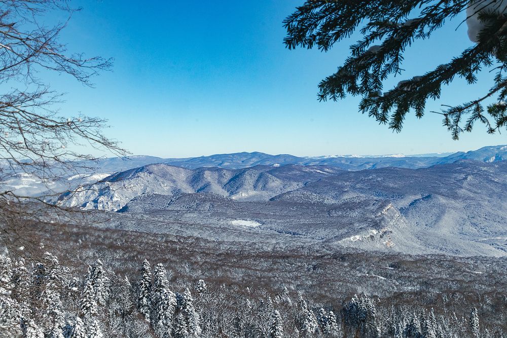 Фотография автора Антонина Кузнецова