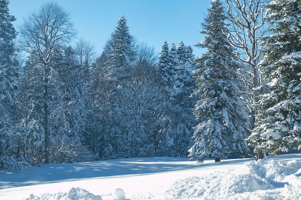 Фотография автора Антонина Кузнецова