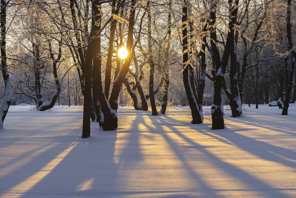 Фотография автора Вадим Копилец