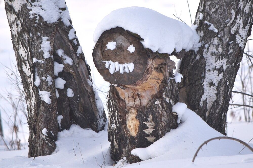 Photograph by Наталья Сорокина