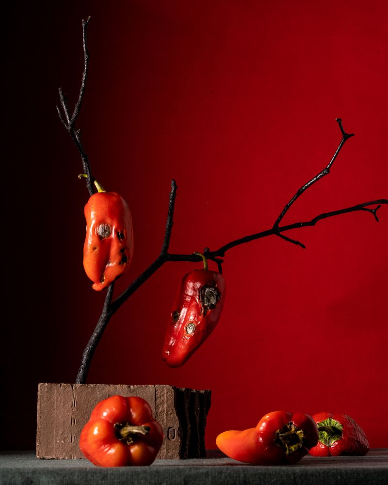 Photograph by Асель Рембекова