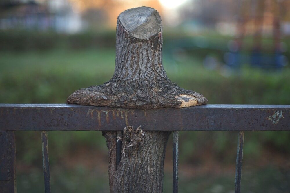 Photograph by Наталья Сорокина