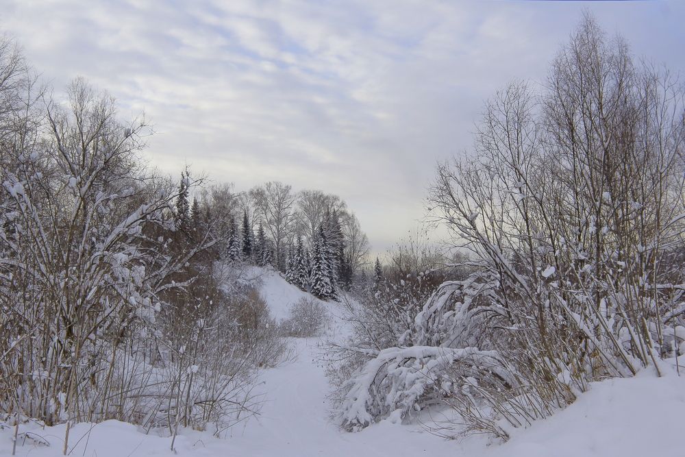 Photograph by Нина Титенкова