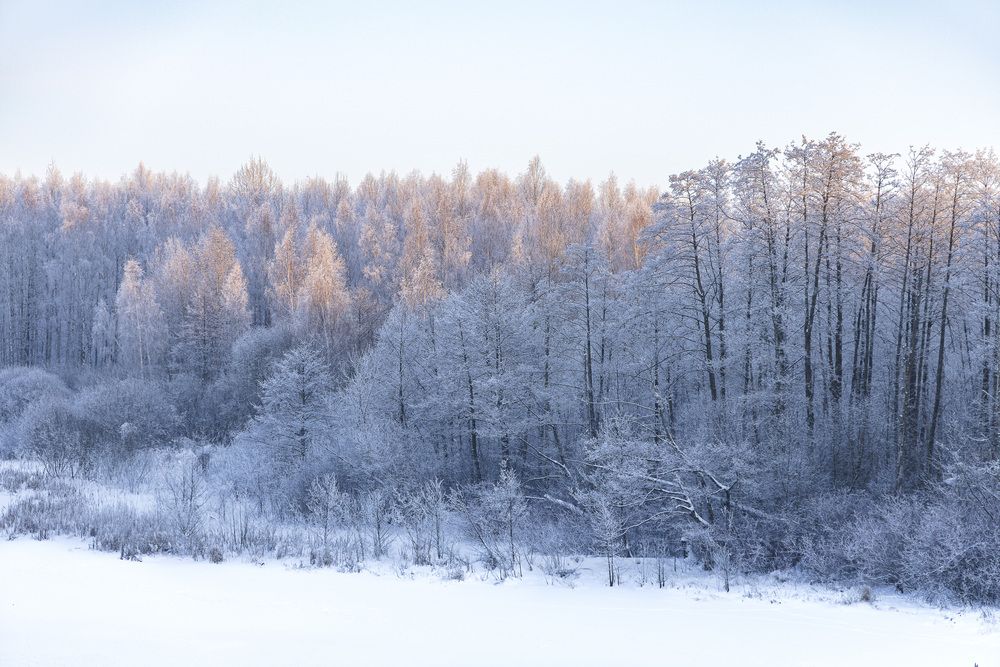 Фотография автора Вадим Копилец