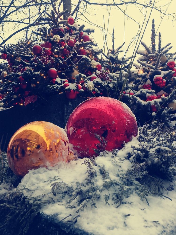 Photo #13125899