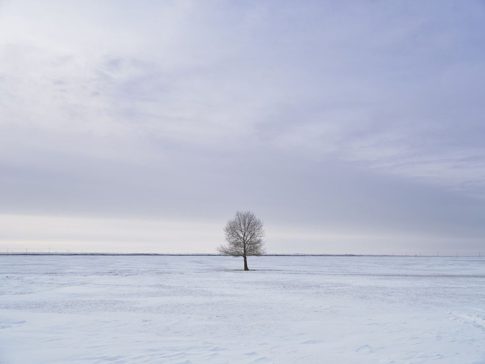 Photograph by Chen Chen