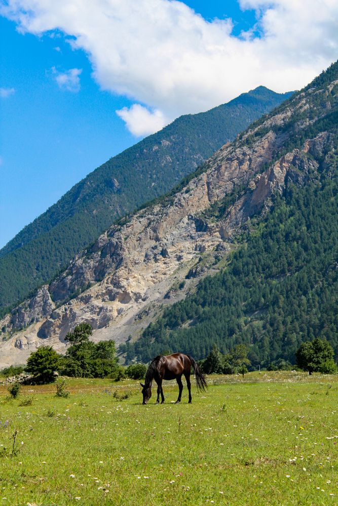 Фотография автора Инна Майорова
