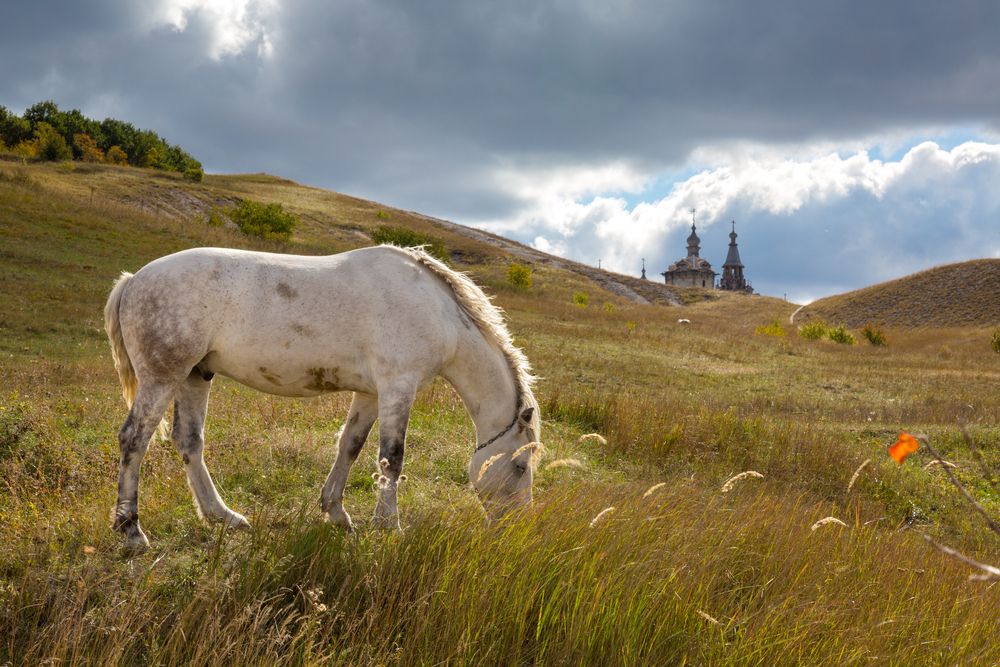 Photograph by Максим Шелякин