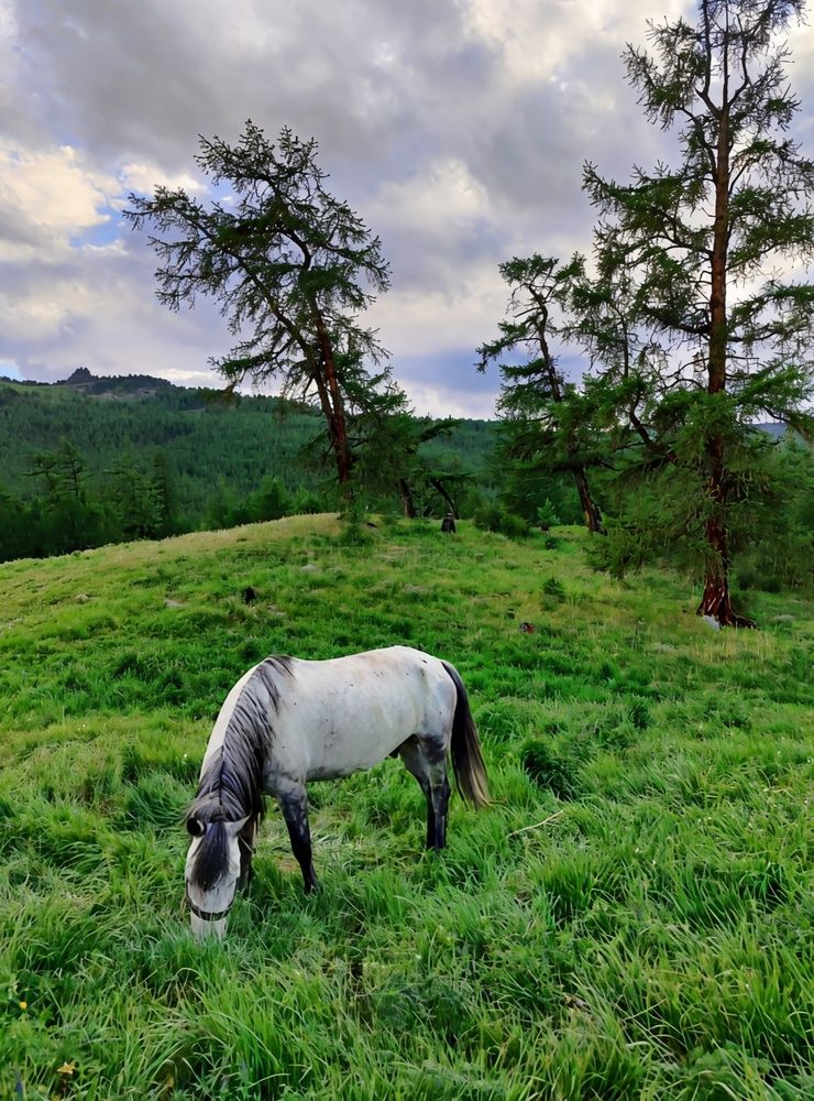 Photograph by Юлия Холомцева