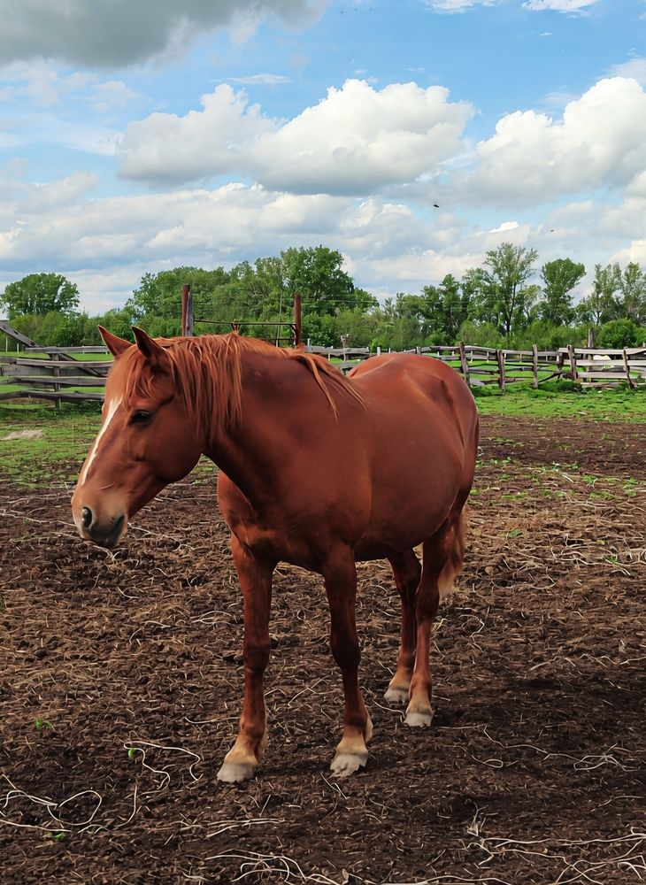 Photograph by Юлия Холомцева