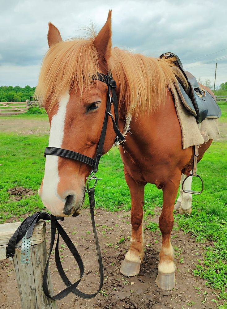 Photograph by Юлия Холомцева