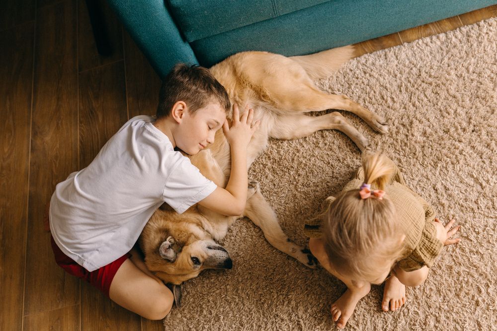 Photograph by Валерия Ефименко