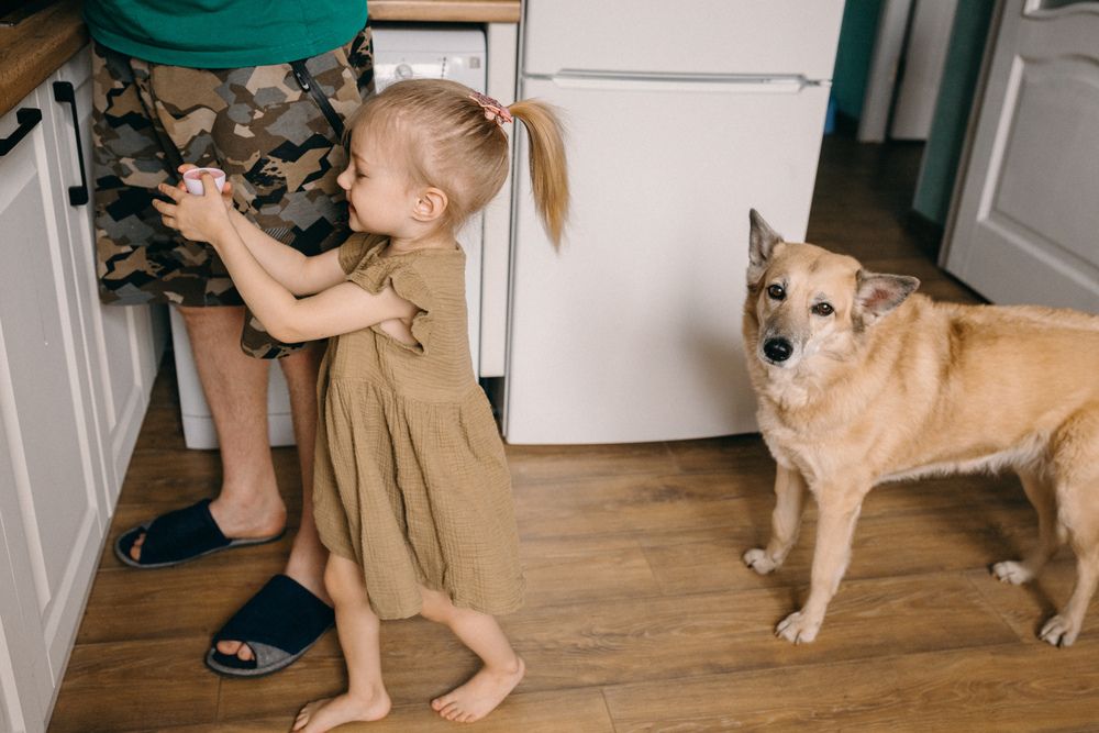 Photograph by Валерия Ефименко