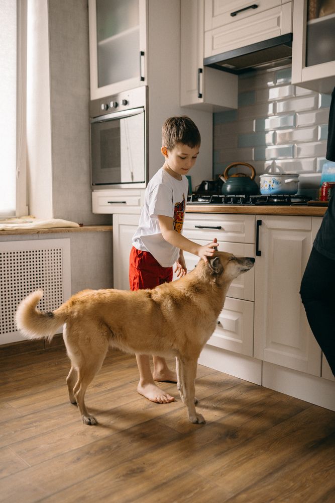 Photograph by Валерия Ефименко