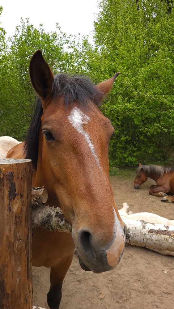 Фотография автора Татьяна Прашкевич