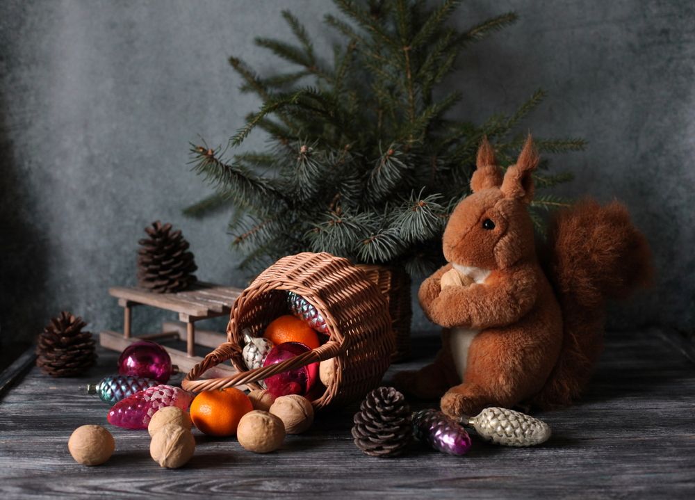 Зимняя сказка