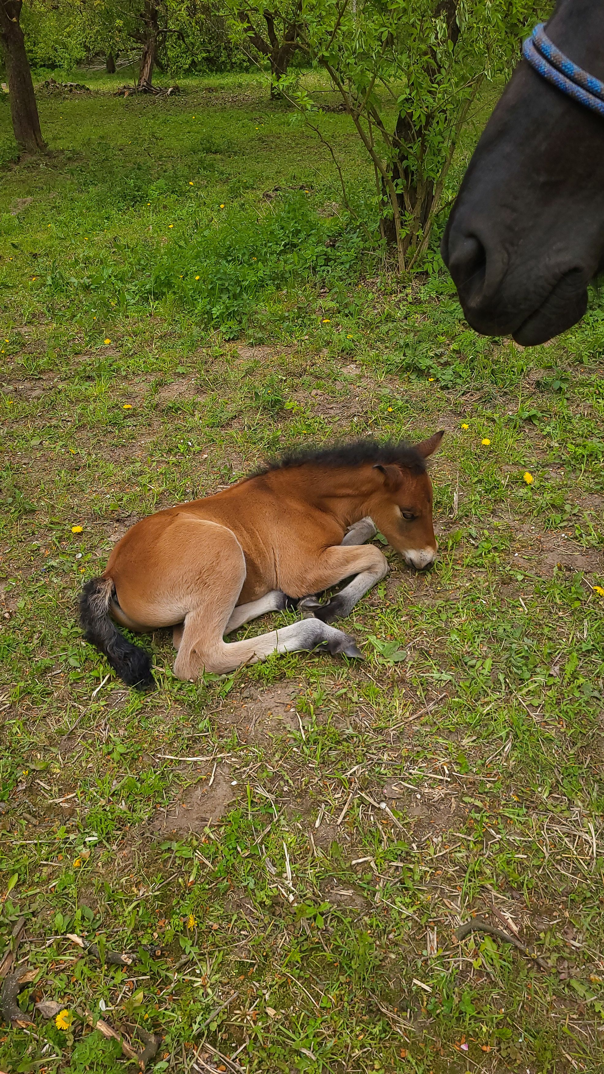 Фотография автора Татьяна Прашкевич