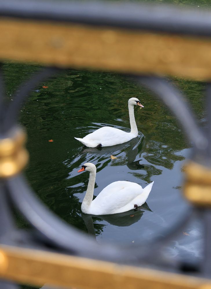 Photograph by Eduard Melnytskyi