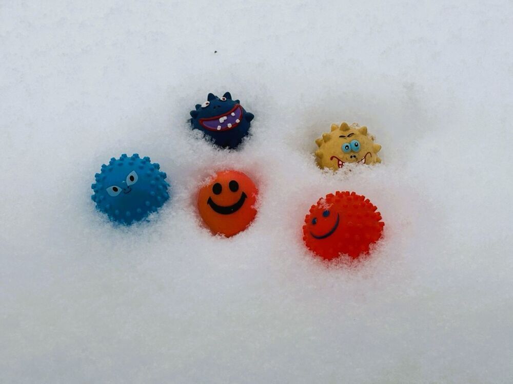 Photograph by Светлана Парамонова