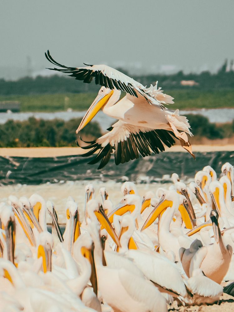 Photograph by Светлана Ханина