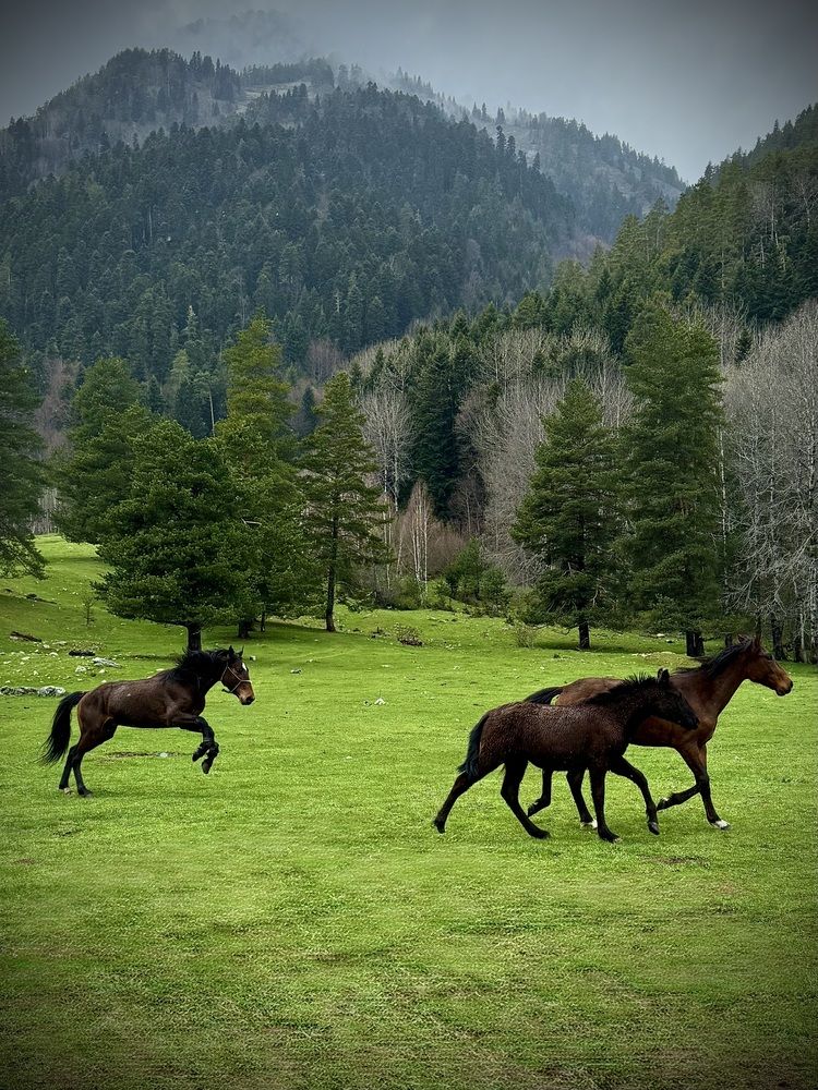 Photograph by Кристина Коробова