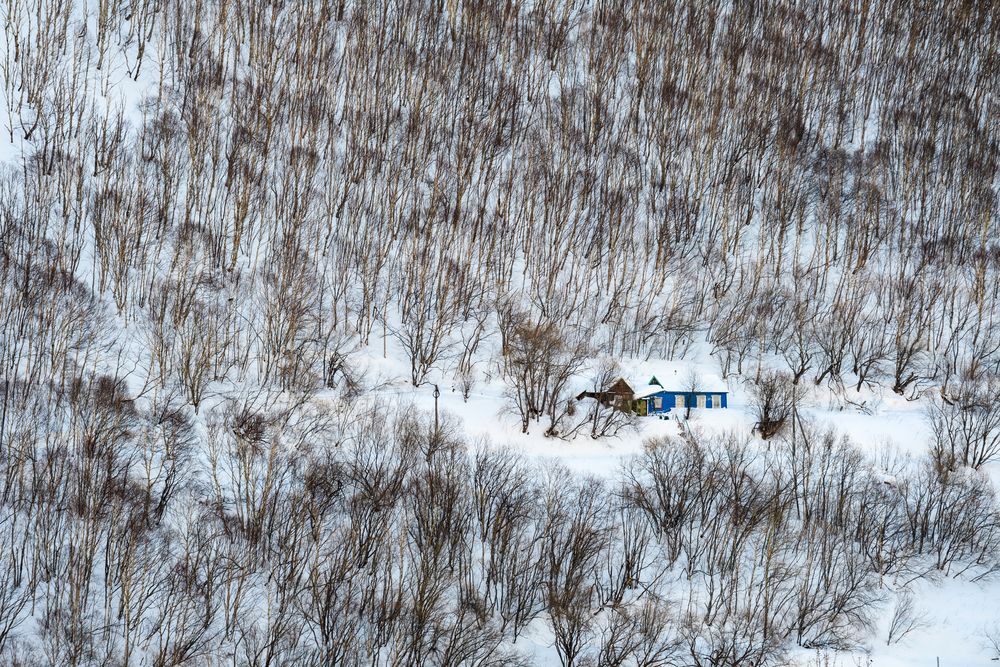 Фотография автора Eliseev Nikolay