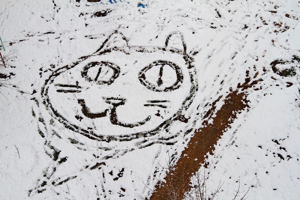 Фотография автора Александр Челмодеев