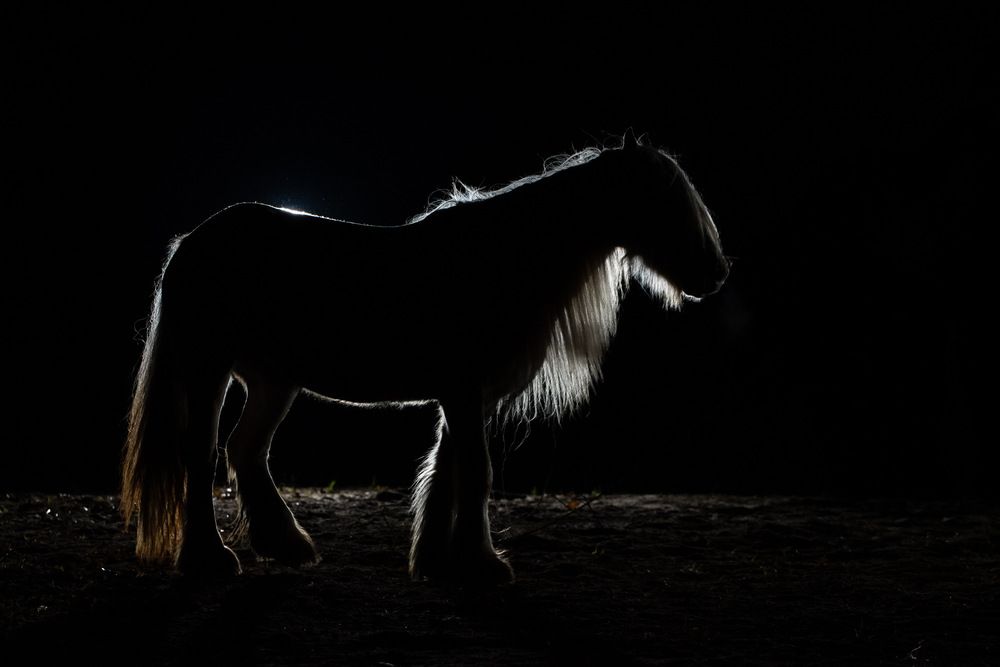 Photograph by Monika