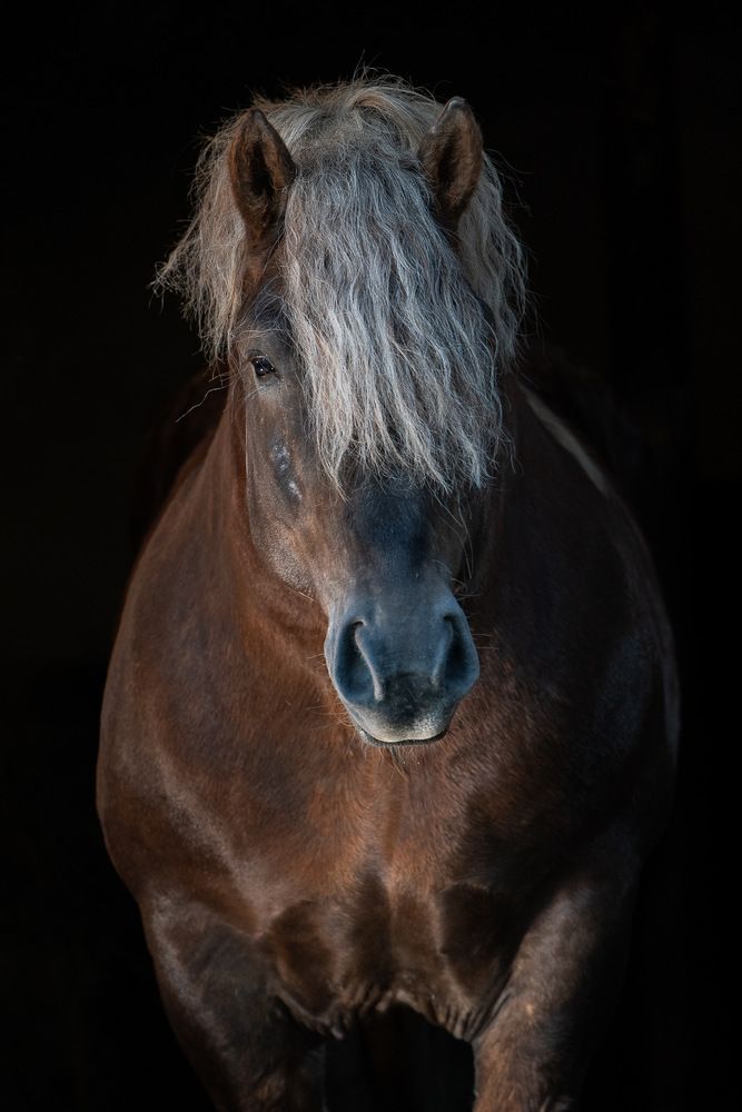 Photograph by Monika