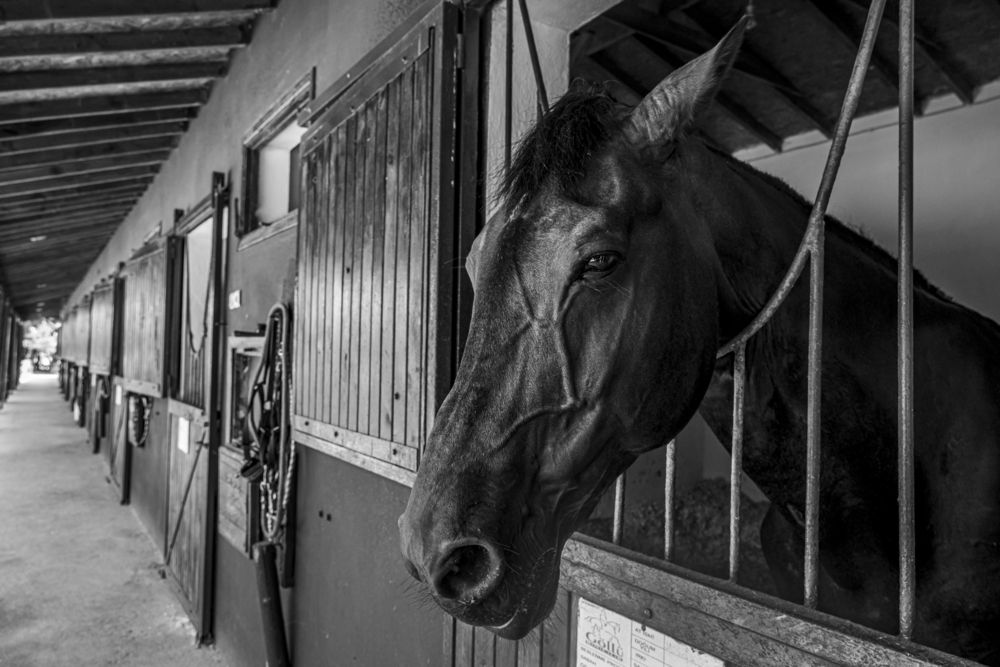 Photograph by Soner Arkan