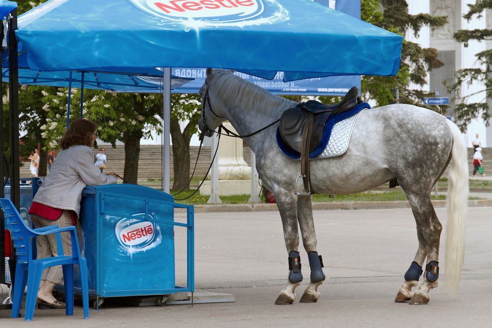 Фотография автора Сергей Янголенко