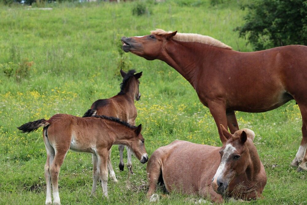 Photograph by Галина Мазур