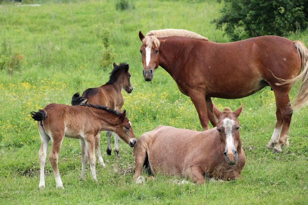 Photograph by Галина Мазур