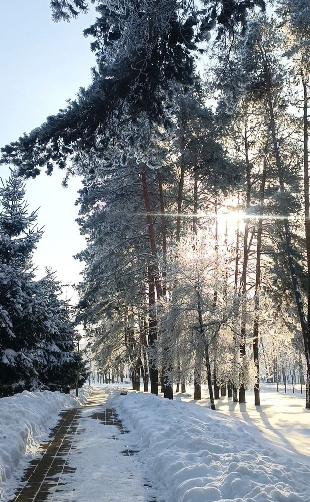 Photograph by Елена Пархоменко
