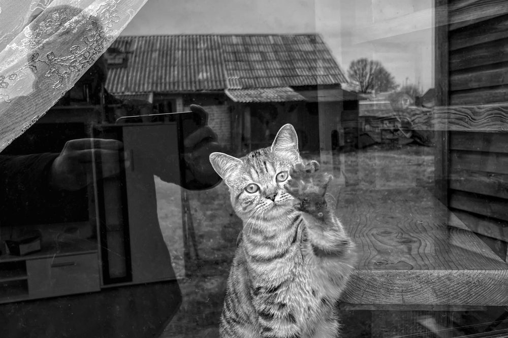 Фотография автора Audrius Balcetis