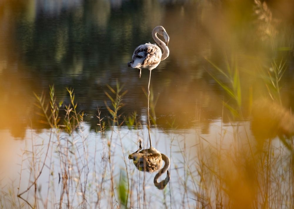 Photograph by Gurdina Lena