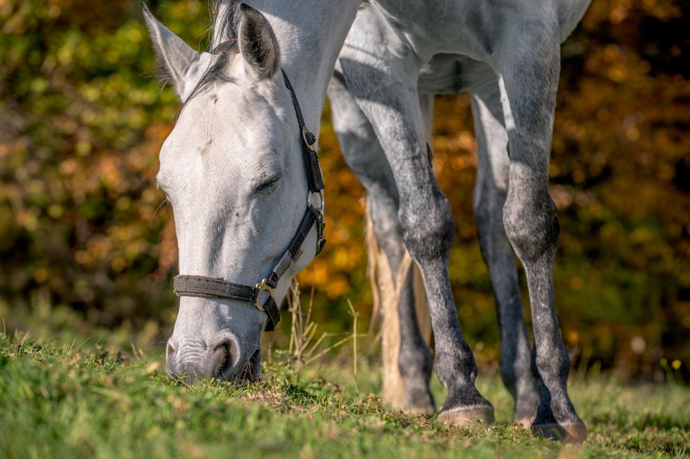 Photograph by Svetlana Soboleva