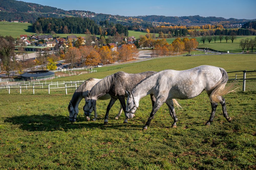 Photograph by Svetlana Soboleva