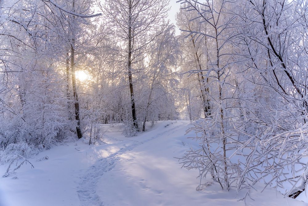 Фотография автора Наталья Дроздова