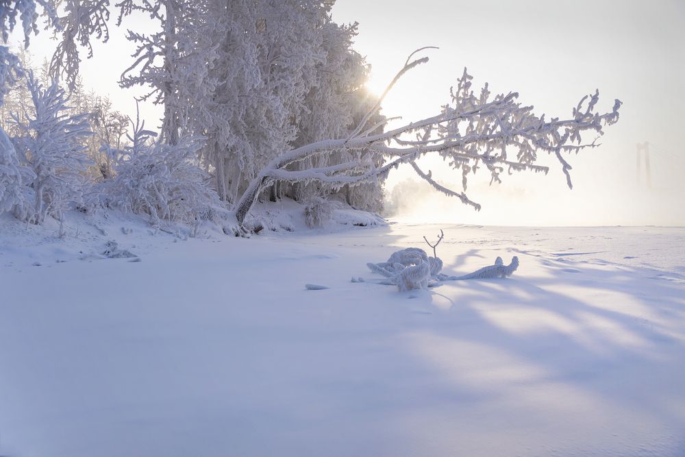 Под гнётом...