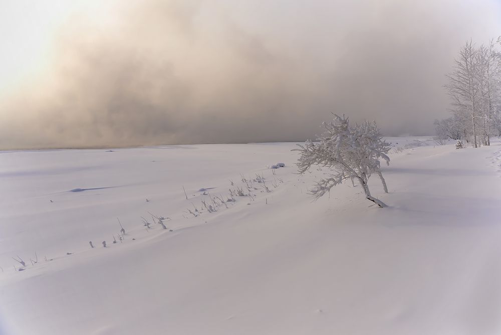 Фотография автора Наталья Дроздова