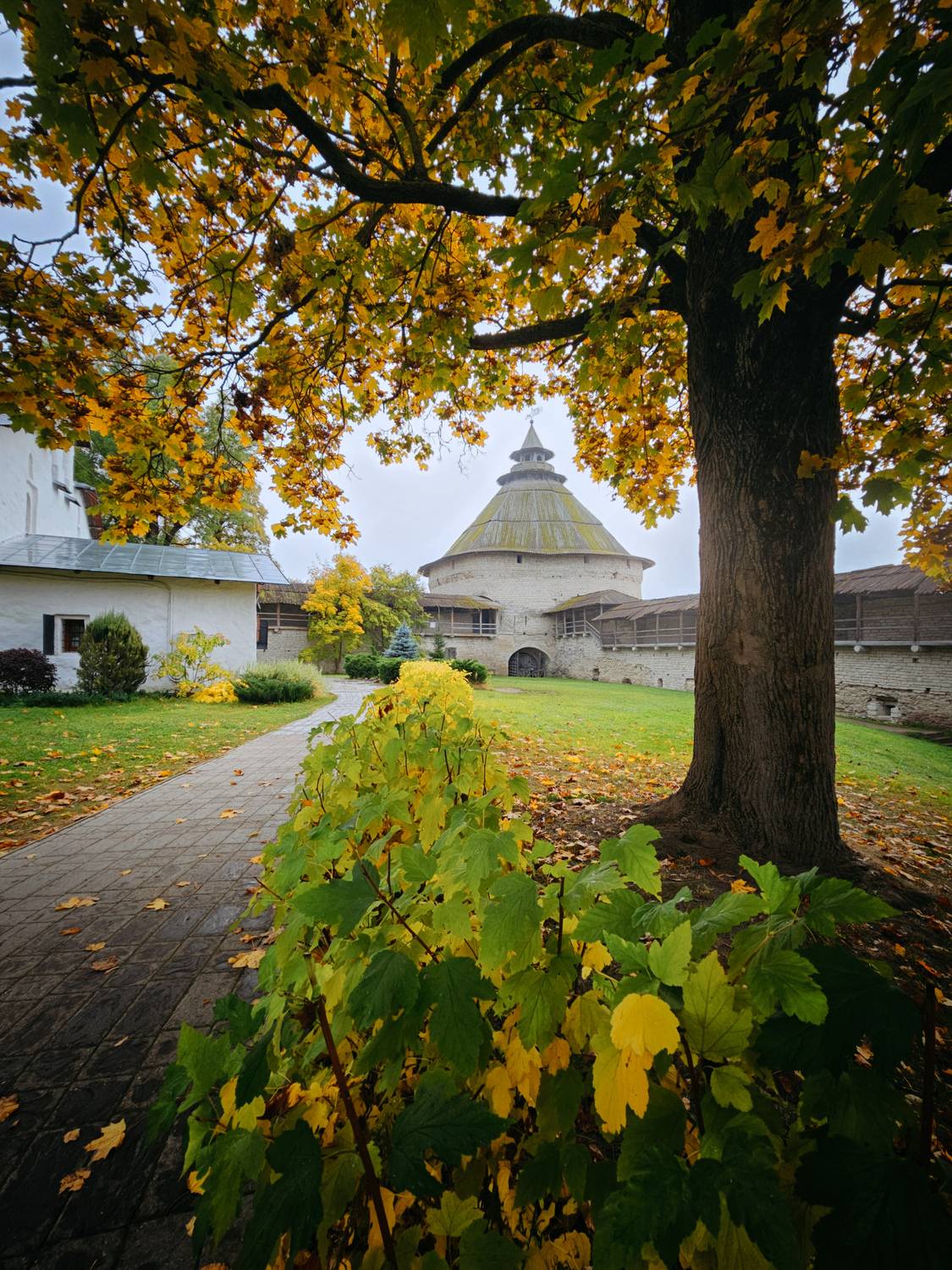 Фотография #13126665